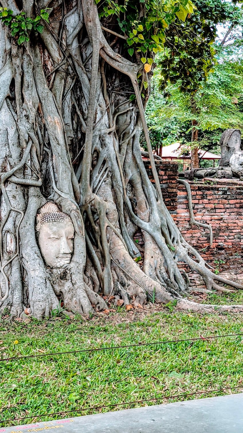 Seventeen Years to Ayutthaya